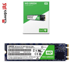 حافظه SSD وسترن دیجیتال 240 گیگابایت مدل WDS240G1G0B سری سبز M.2